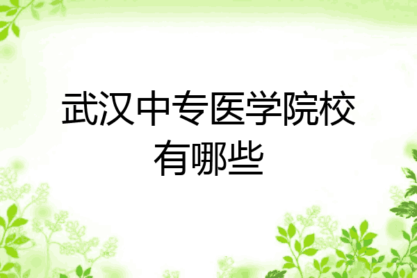 武汉中专医学院校有哪些