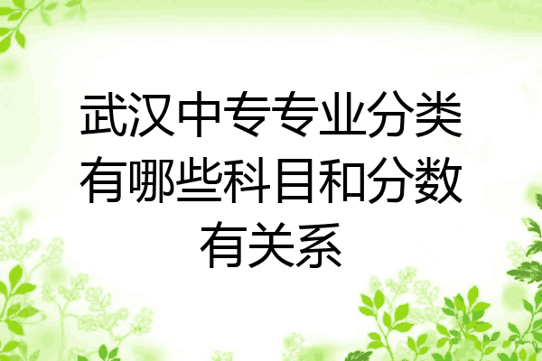 武汉中专专业分类有哪些科目和分数有关系