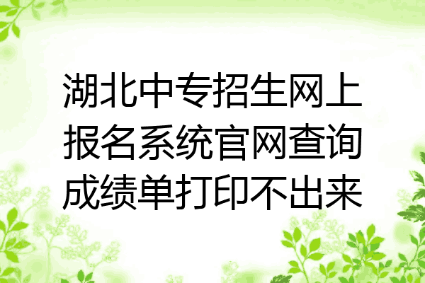湖北中专招生网上报名系统官网查询成绩单打印不出来
