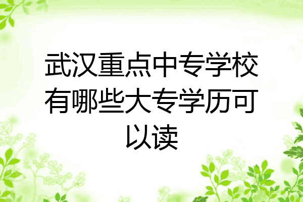 武汉重点中专学校有哪些大专学历可以读