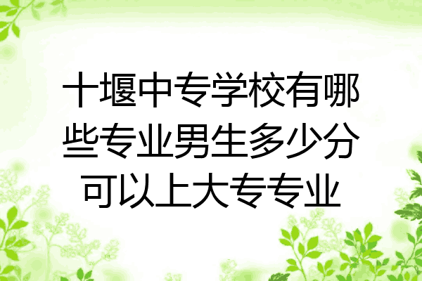 十堰中专学校有哪些专业男生多少分可以上大专专业