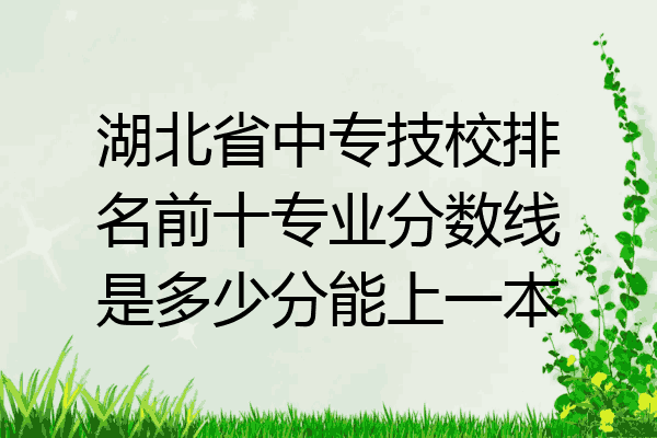 湖北省中专技校排名前十专业分数线是多少分能上一本