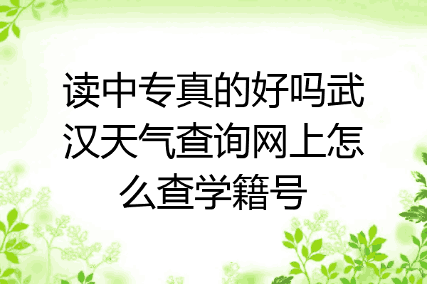 读中专真的好吗武汉天气查询网上怎么查学籍号