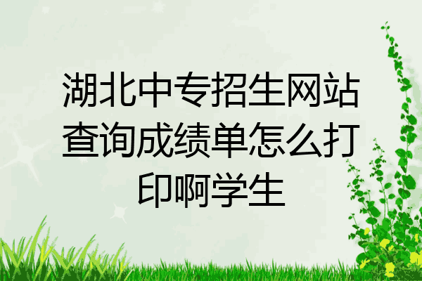 湖北中专招生网站查询成绩单怎么打印啊学生