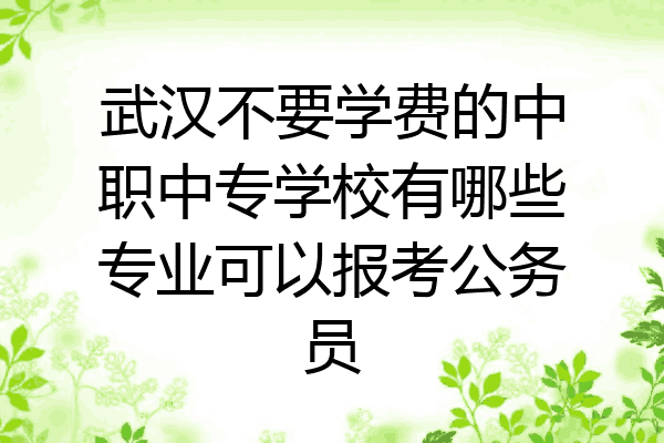 武汉不要学费的中职中专学校有哪些专业可以报考公务员