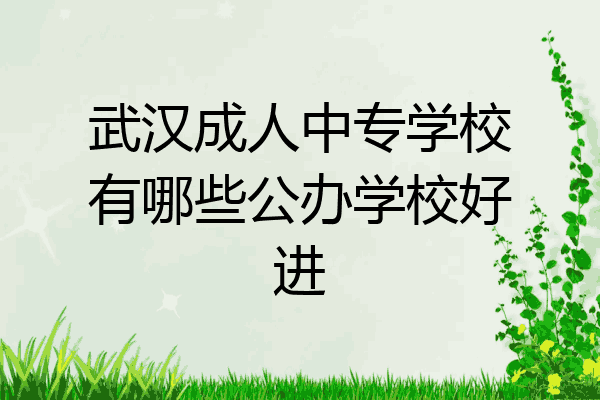 武汉成人中专学校有哪些公办学校好进