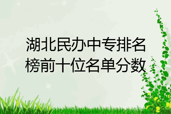 湖北民办中专排名榜前十位名单分数