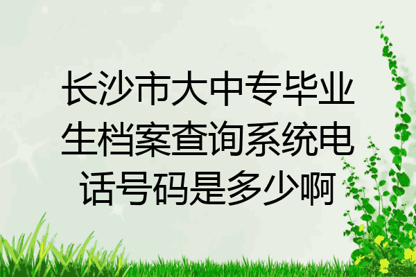 长沙市大中专毕业生档案查询系统电话号码是多少啊