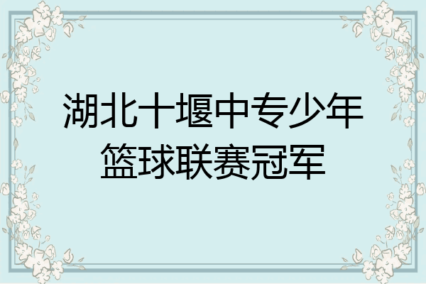 湖北十堰中专少年篮球联赛冠军