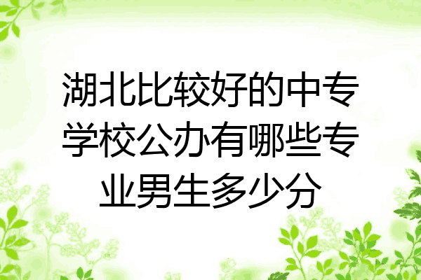 湖北比较好的中专学校公办有哪些专业男生多少分