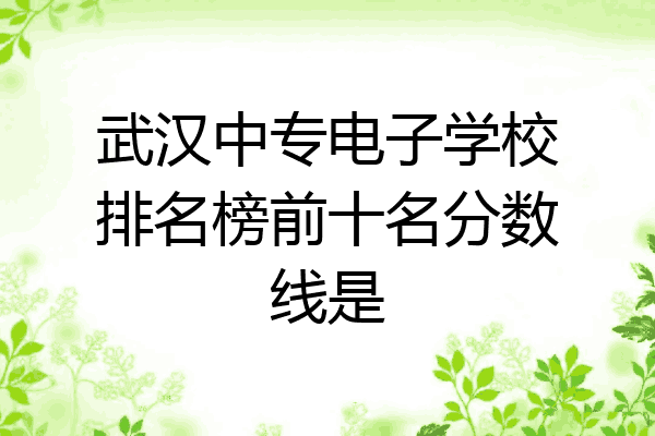 武汉中专电子学校排名榜前十名分数线是