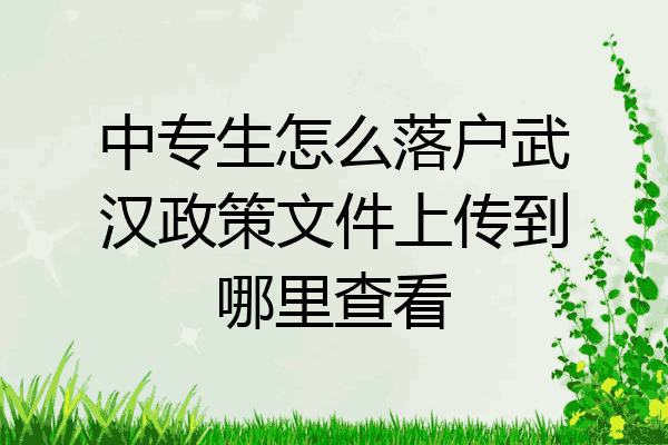 中专生怎么落户武汉政策文件上传到哪里查看
