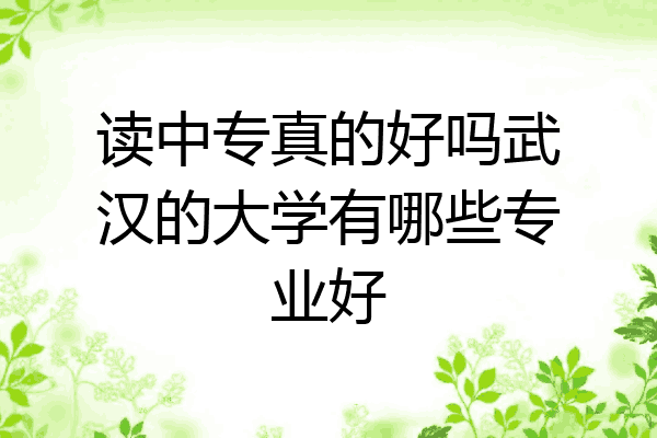 读中专真的好吗武汉的大学有哪些专业好
