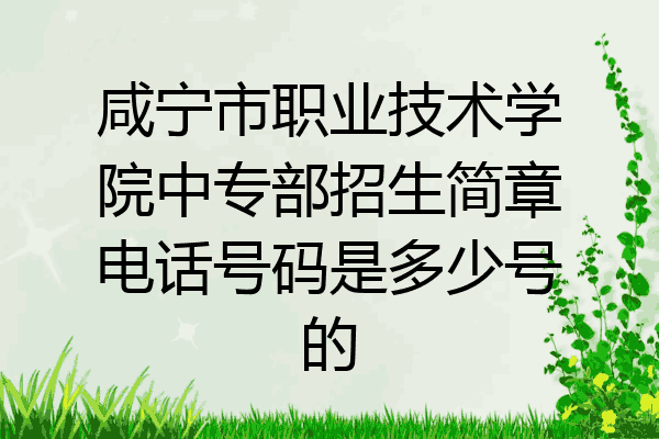 咸宁市职业技术学院中专部招生简章电话号码是多少号的
