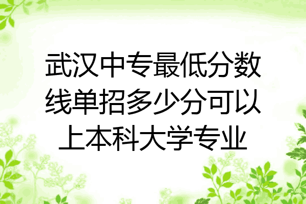 武汉中专最低分数线单招多少分可以上本科大学专业