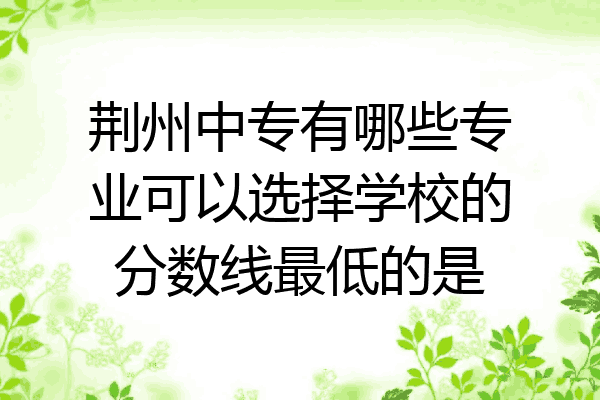 荆州中专有哪些专业可以选择学校的分数线最低的是