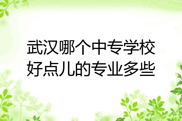 武汉哪个中专学校好点儿的专业多些