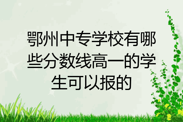 鄂州中专学校有哪些分数线高一的学生可以报的