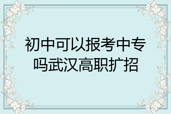 初中可以报考中专吗武汉高职扩招