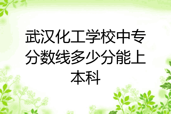 武汉化工学校中专分数线多少分能上本科