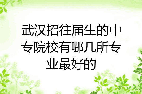 武汉招往届生的中专院校有哪几所专业最好的