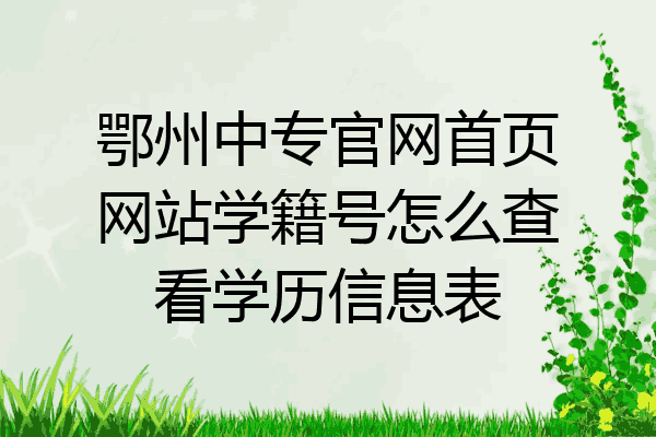 鄂州中专官网首页网站学籍号怎么查看学历信息表