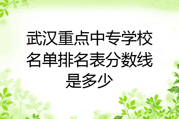 武汉重点中专学校名单排名表分数线是多少