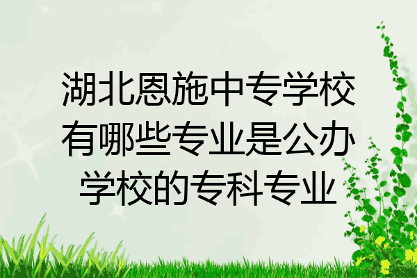 湖北恩施中专学校有哪些专业是公办学校的专科专业