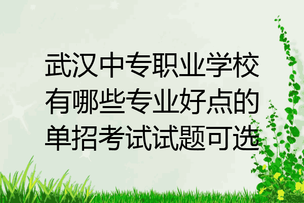 武汉中专职业学校有哪些专业好点的单招考试试题可选