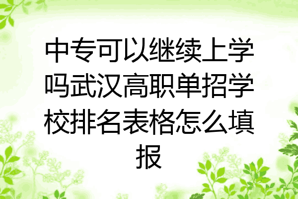 中专可以继续上学吗武汉高职单招学校排名表格怎么填报