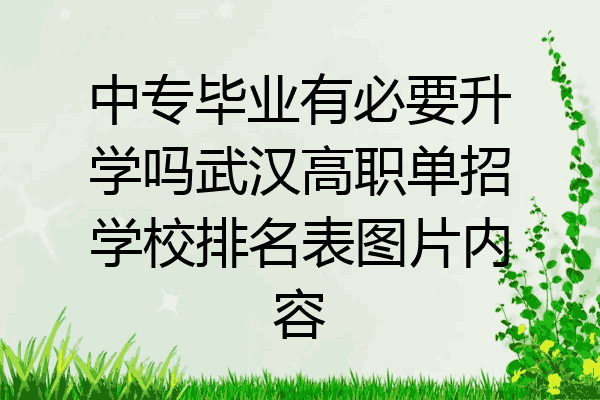 中专毕业有必要升学吗武汉高职单招学校排名表图片内容