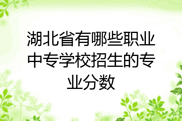 湖北省有哪些职业中专学校招生的专业分数