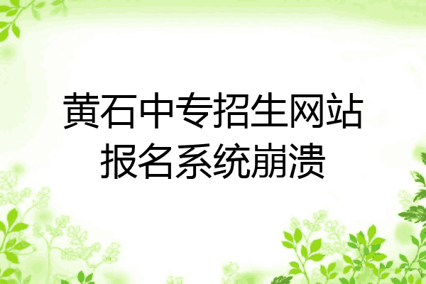 黄石中专招生网站报名系统崩溃