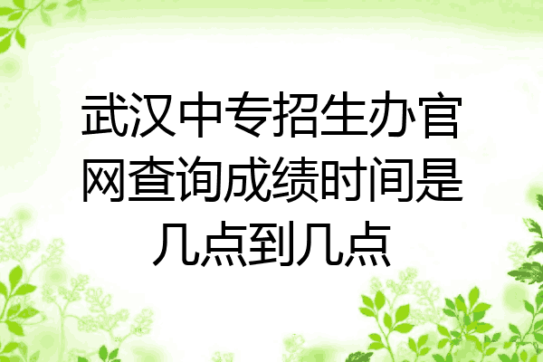 武汉中专招生办官网查询成绩时间是几点到几点
