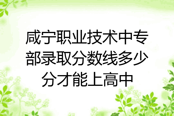 咸宁职业技术中专部录取分数线多少分才能上高中