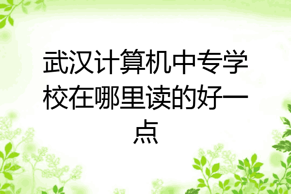 武汉计算机中专学校在哪里读的好一点