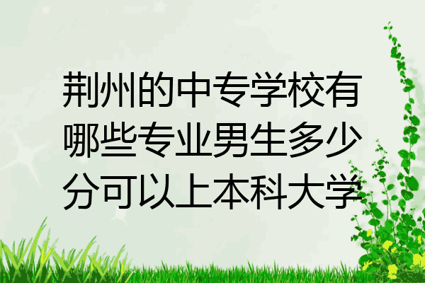 荆州的中专学校有哪些专业男生多少分可以上本科大学