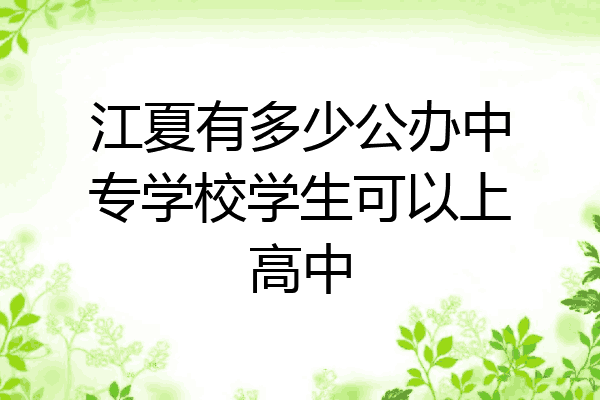 江夏有多少公办中专学校学生可以上高中