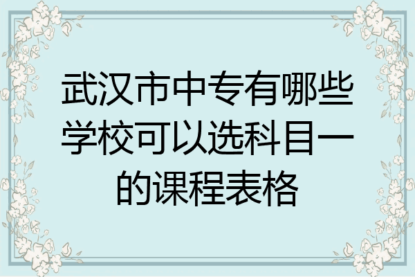 武汉市中专有哪些学校可以选科目一的课程表格