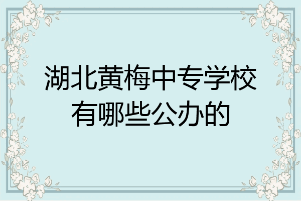 湖北黄梅中专学校有哪些公办的