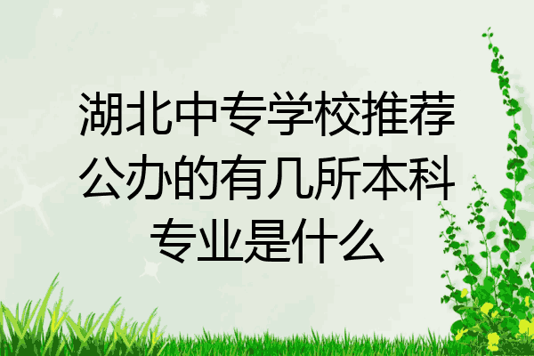 湖北中专学校推荐公办的有几所本科专业是什么