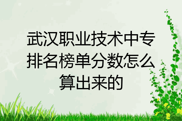 武汉职业技术中专排名榜单分数怎么算出来的