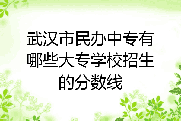 武汉市民办中专有哪些大专学校招生的分数线