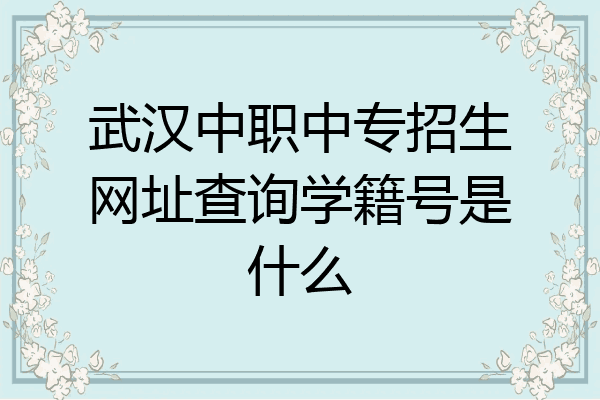 武汉中职中专招生网址查询学籍号是什么