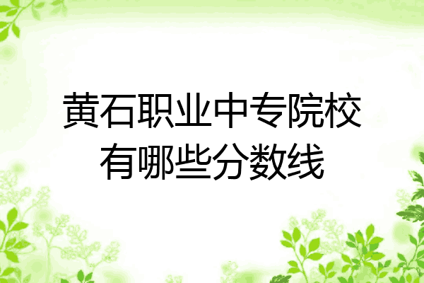 黄石职业中专院校有哪些分数线