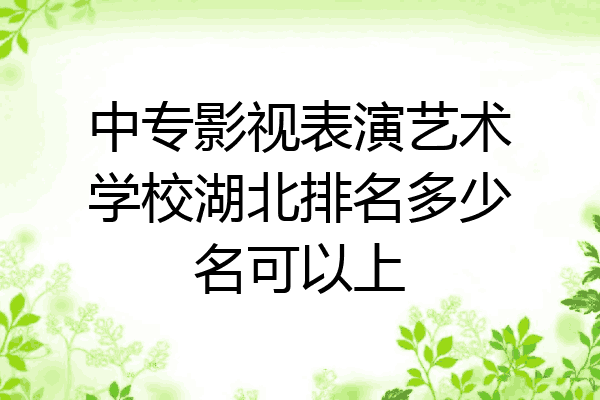 中专影视表演艺术学校湖北排名多少名可以上
