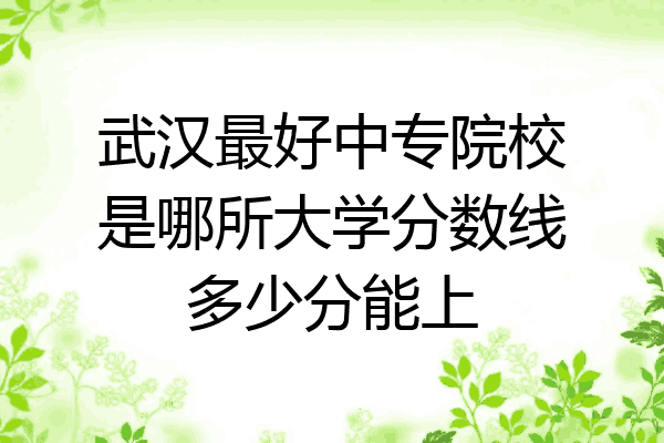 武汉最好中专院校是哪所大学分数线多少分能上