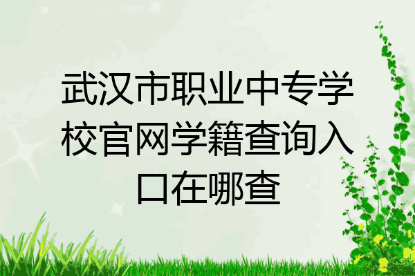 武汉市职业中专学校官网学籍查询入口在哪查