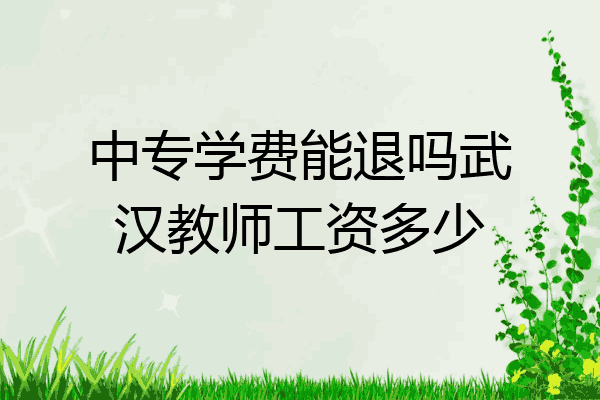 中专学费能退吗武汉教师工资多少