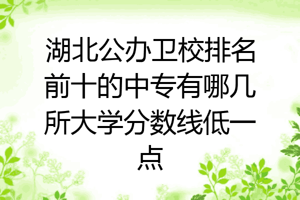 湖北公办卫校排名前十的中专有哪几所大学分数线低一点